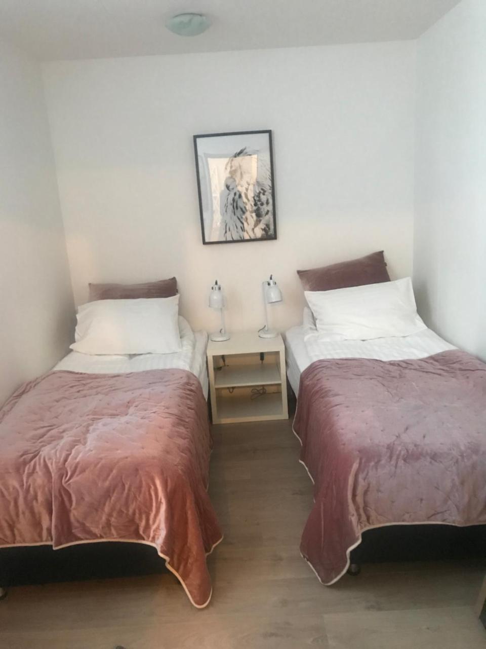 فندق Saudarkrokurفي  10B Gamla Laeknishusith Hg15108 المظهر الخارجي الصورة